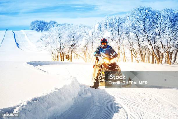 Driving A Snowmobile Stock Photo - Download Image Now - Snowmobile, Snowmobiling, Adventure
