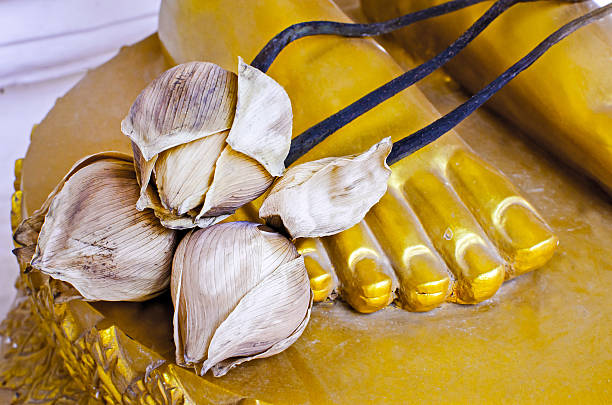 Dried lotus paste on Buddha statue's foots Generally in Thailand, any kinds of decorated in Buddhist church, etc. they are public domain of Buddhism. Color vintage effect and selective focus 