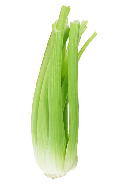 istock Stalks of Celery 503618688