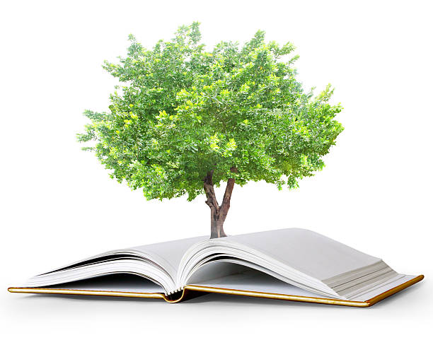 istock book of fantasy stories 503618704