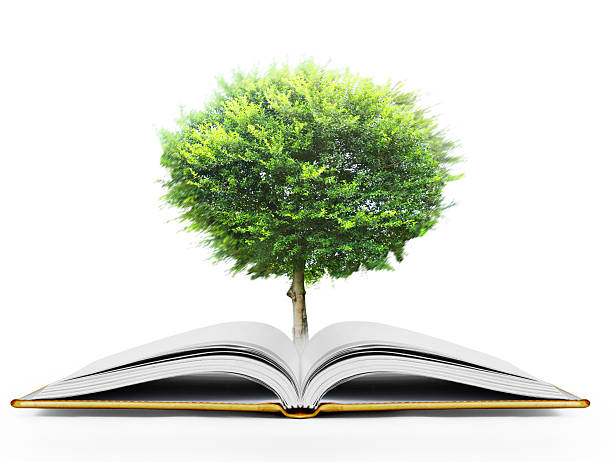 istock book of fantasy stories 503618740
