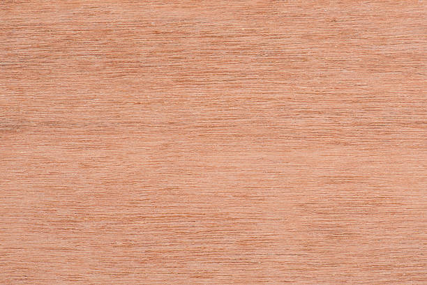 istock Pale Wood Background, Wooden Floor Texture. 503619222