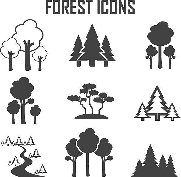 Bекторная иллюстрация forest набор иконок.