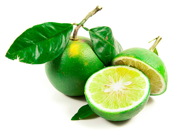 limes fresco isolato su bianco - lemon portion cross section isolated foto e immagini stock