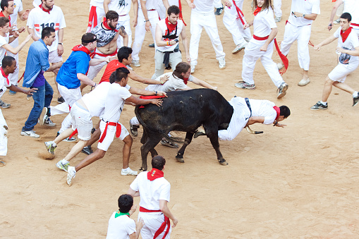 Pamplona, Spain - July 8, 2013: People having fun with young bulls at San Fermin festival. Navarra