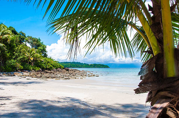 istock Beautiful tropical beach with white sand and blue waters 503623303