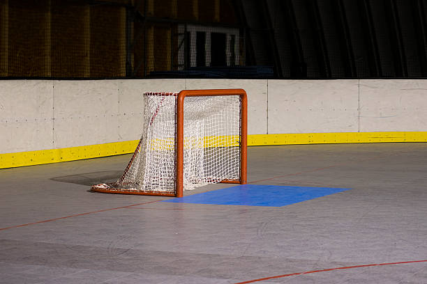 net de hockey - hockey sobre ruedas fotografías e imágenes de stock