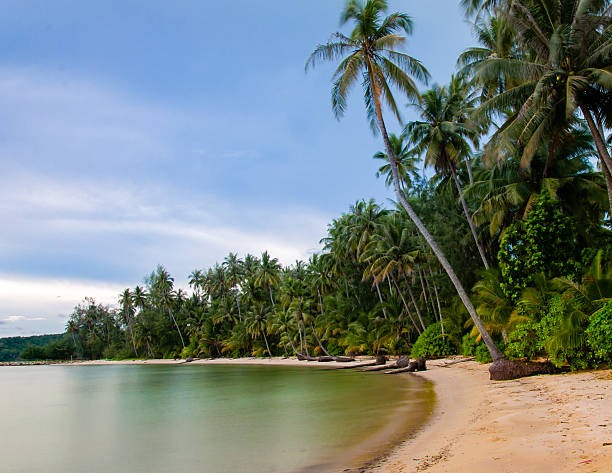 istock Beautiful tropical beach in Thailand with long exposure effect 503625061
