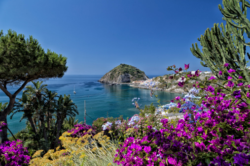 A view of SantAngelo in Ischia island in Italy through bougainvillea glabra