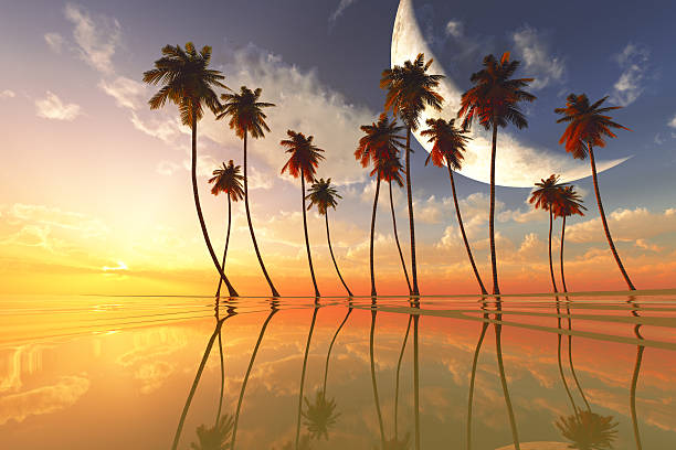 istock sunset at tropical sea 503625975