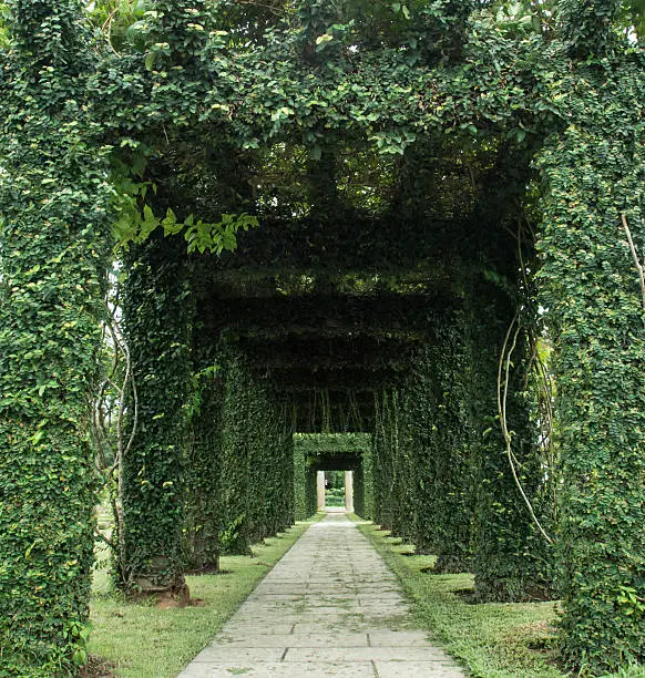 Green archway in a garden.