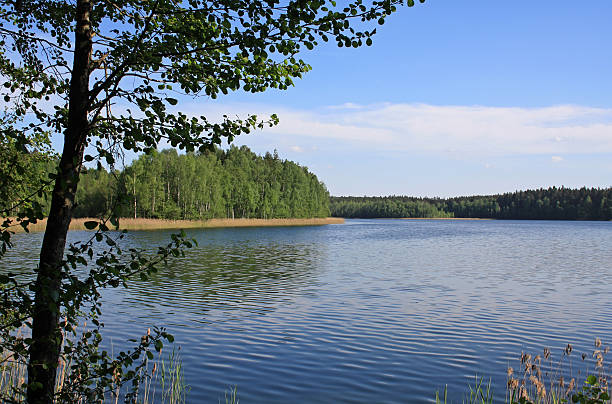 istock Lake at national park 503627103