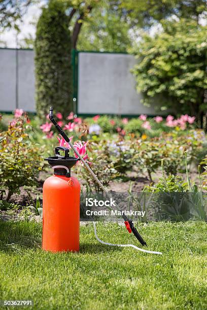 Pesticide Sprayer Stock Photo - Download Image Now - Aerosol Can, Agriculture, Bush