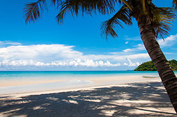 istock Beautiful tropical beach with white sand and blue waters 503628753