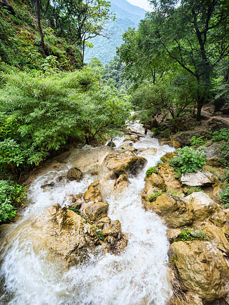 istock Rapid mountain river flows among green lush forest 503628803