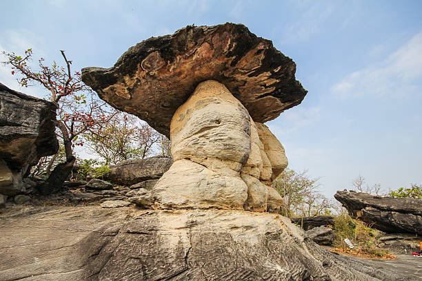 istock Phu pha thoep national park, Mukdaharn Thailand 503635370
