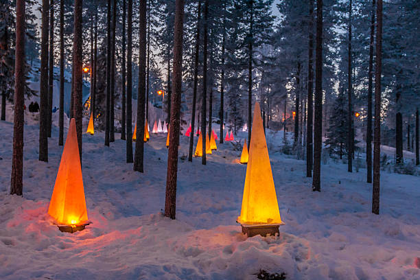 зимняя сцена с лампами-вспышками - yllas стоковые фото и изображения