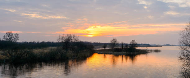 tramonto sopra il wieden weerribben riserva naturale in inverno - wieden weerribben foto e immagini stock