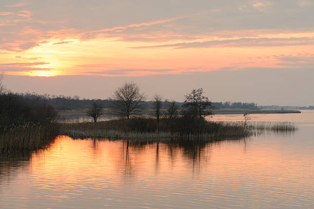 tramonto sopra il wieden weerribben riserva naturale in inverno - wieden weerribben foto e immagini stock