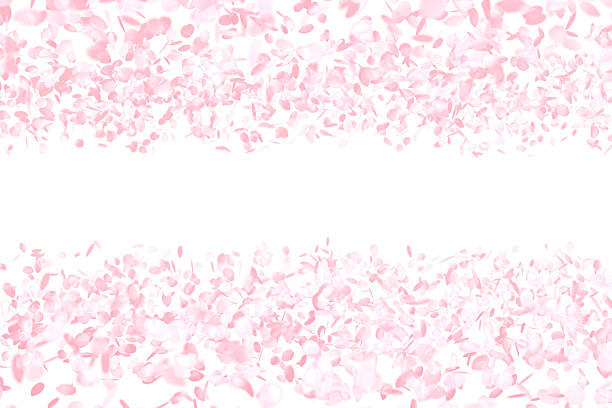 istock Cherry Blossoms, Pink Flower Background 503644760