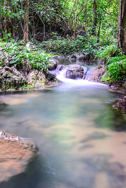 Sai Yok waterfall in national park, Kanchanaburi, Thailand. Sai Yok waterfall in national park, Kanchanaburi, Thailand. kanchanaburi province stock pictures, royalty-free photos & images