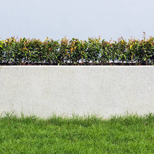 istock Stone wall and flora with grass in Garden 503644858