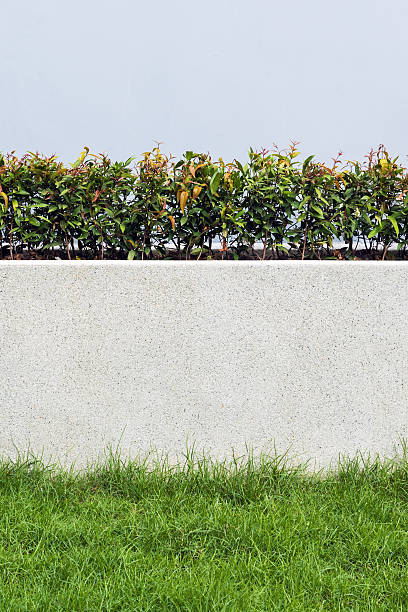 istock Stone wall and flora with grass in Garden 503644932