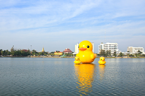 The yellow ducks is the most populars view for photos. The park of big provinces is famous ,Udonthani ,Thailand.