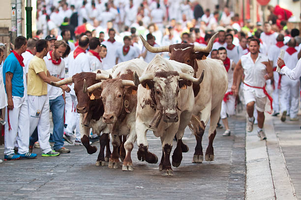Pamplona. Spain - July 9, 2013: People run from bulls on street during San Fermin festival in Pamplona