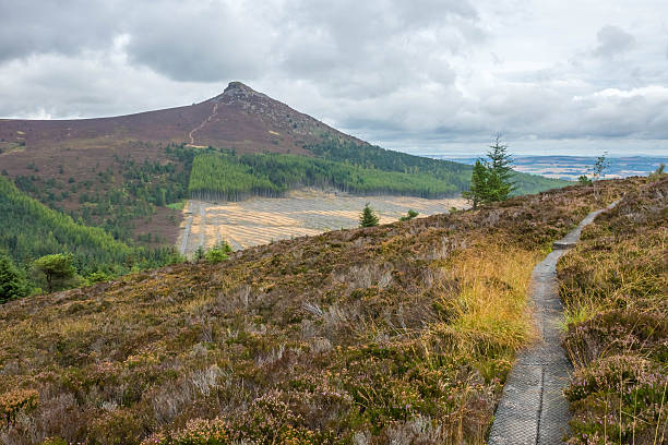 mither tap, bennachie, aberdeenshire - hillfort stock-fotos und bilder