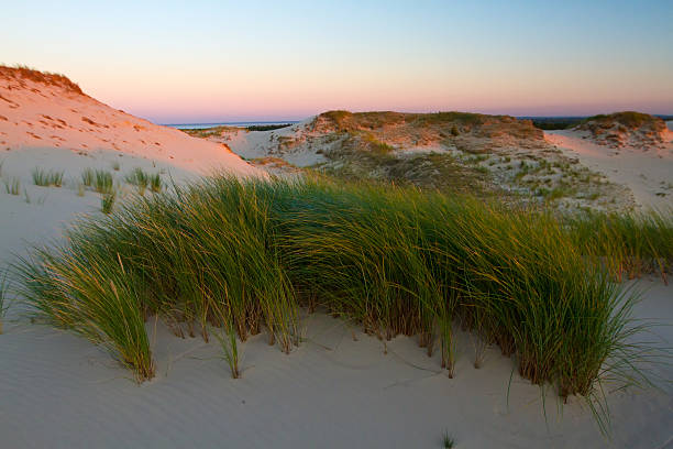 istock Sunset on the dunes, Slowinski National Park, Poland. 503666362