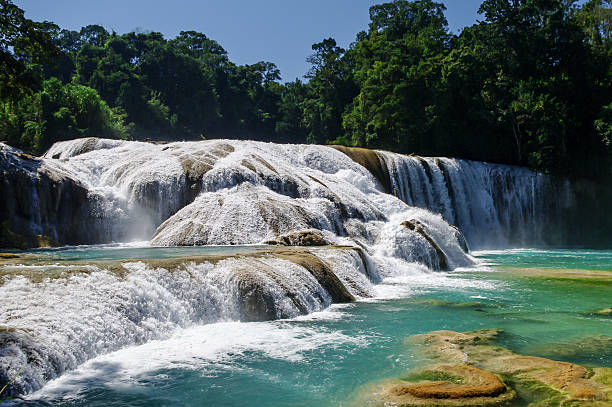 istock Agua Azul waterfalls, Chiapas, Mexico 503668934