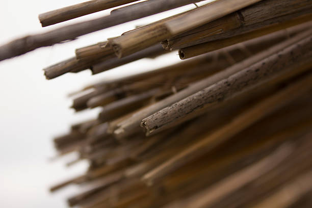 istock Thatched roof on a beach umbrella 503669374