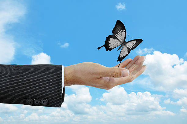 istock Hand releaasing a butterfly  - freedom concept 503670423