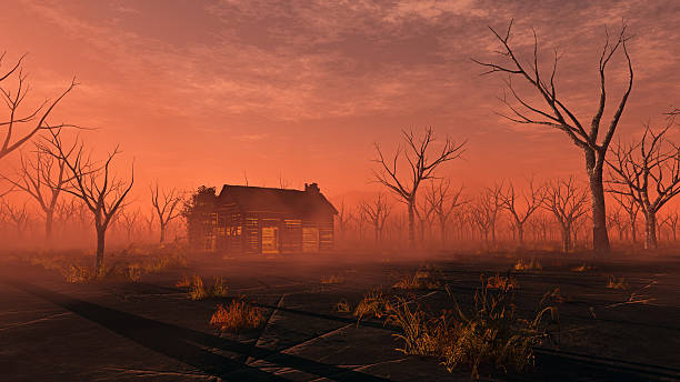 Remote lonely wooden cabin in misty landscape with dead trees. Sunset.