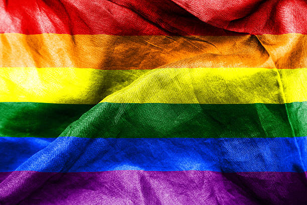 istock Gay Pride Freedom Flag 503677101