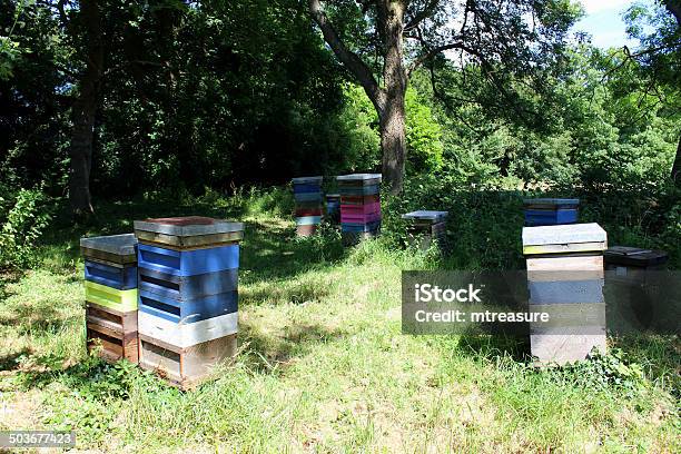 Image Of Colourful Painted Homemade Beehives Made From Boxes Drawers Stock Photo - Download Image Now