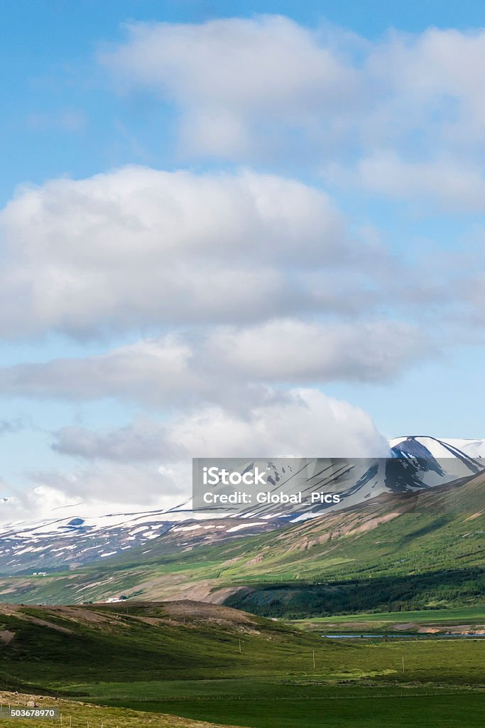 Akureyri - Iceland View from the road Ring Road 1 between Akureyri and Reykjahlíð, along green fields, pasture, mountains, ice and a stunning blue sky in Iceland. Agricultural Field Stock Photo