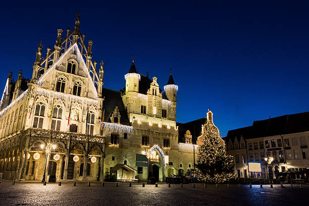 istock Town Hall in Mechelen in Belgium 503682526