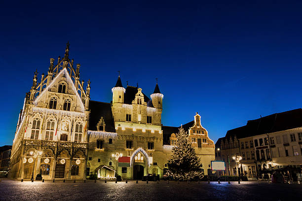 istock Town Hall in Mechelen in Belgium 503682606