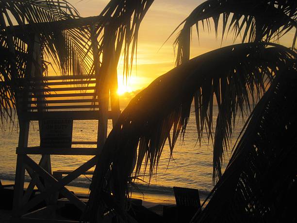 istock Lifeguard Stand in the Sunset 503684966