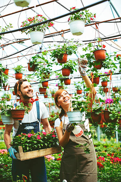 istock Young People Working At Plant Nursery 503685028