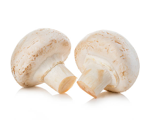 istock Champignon mushrooms close-up isolated on a white background. 503686300