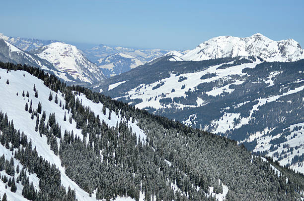 istock Winter in the Alps 503687270