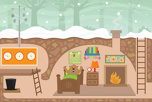 Groundhog House Detailed illustration of a cute groundhog's weather station house with a groundhog waking up from his sleep on February second. Eps10 groundhog day clock stock illustrations