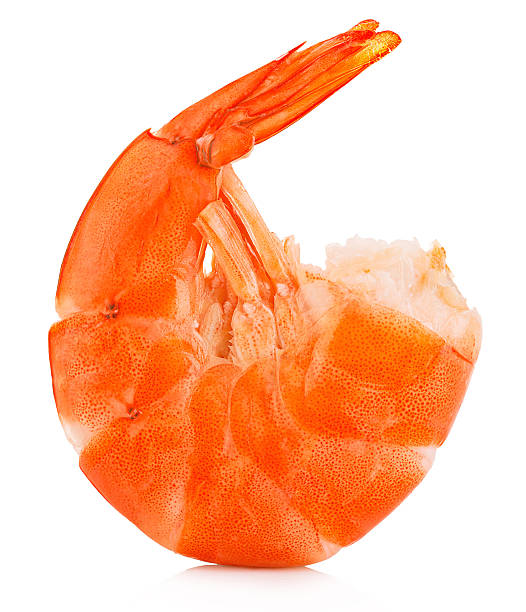 istock Tiger shrimp. Prawn isolated on a white background. Seafood 503687440