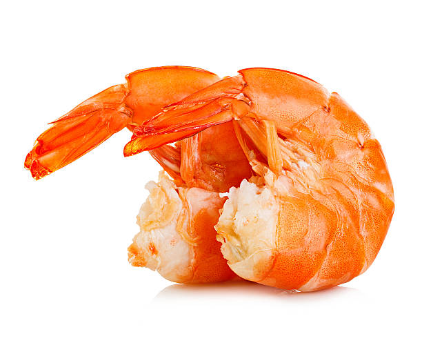 istock Tiger shrimps. Prawns isolated on a white background. Seafood 503687474