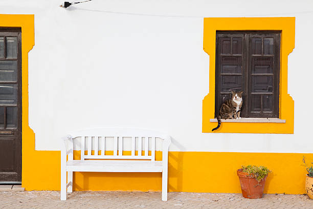 Typical House in Peniche Typical House in Peniche obidos photos stock pictures, royalty-free photos & images