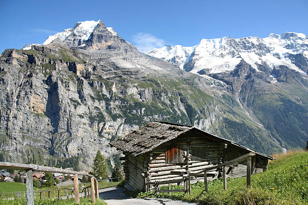 istock wooden hut at Swiss Alps 503687814