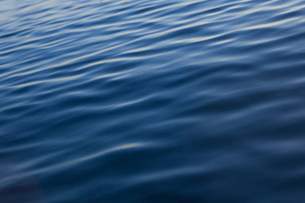 istock surface of the sea 503688630